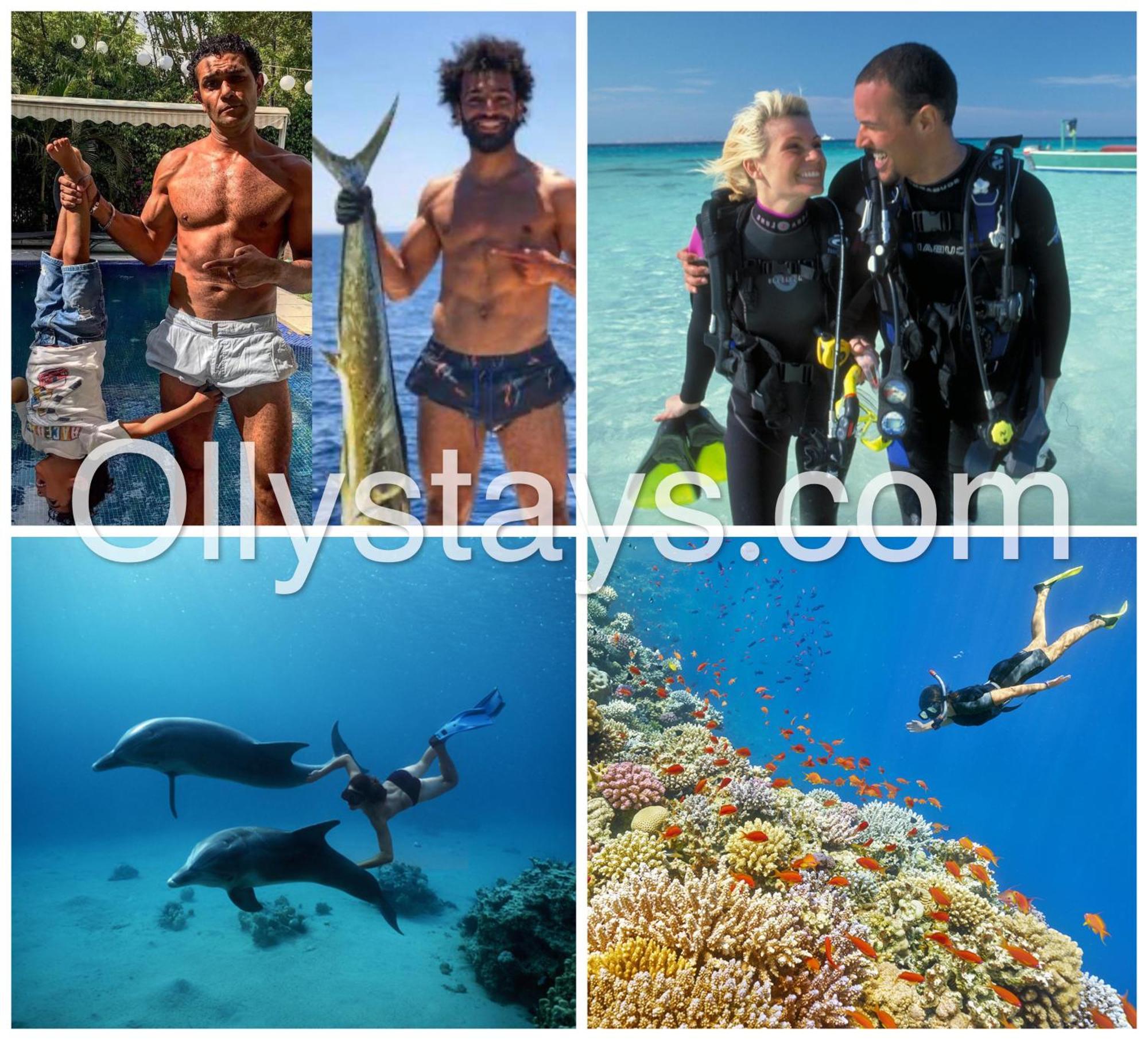 Ollystays Mangroovy Seaview 1Br Beach And Pool Free Access Hurghada Exterior photo